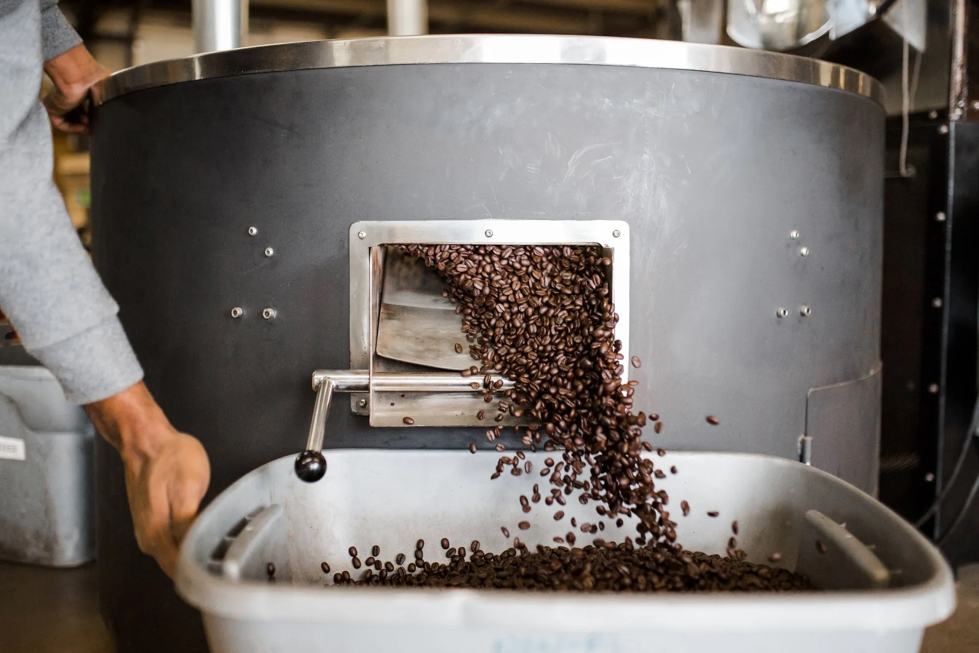 Freshly roasted coffee pouring from the roasting drum at our roastery